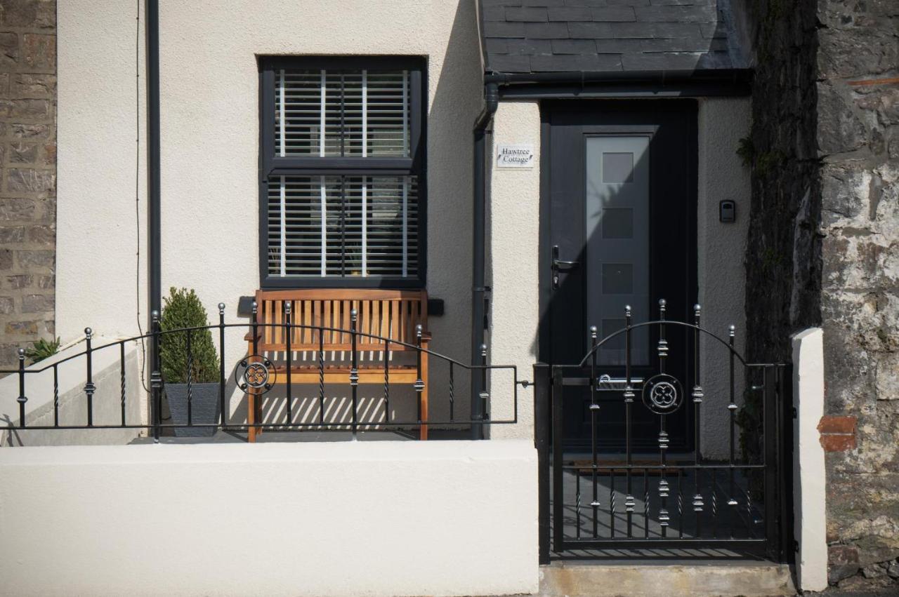 Hawtree Cottage - 2 Bedroom Cottage - Tenby Kültér fotó